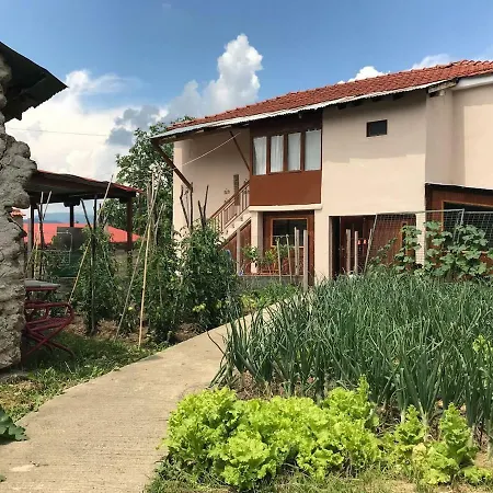 Grandpa's House & Coffee-shop *