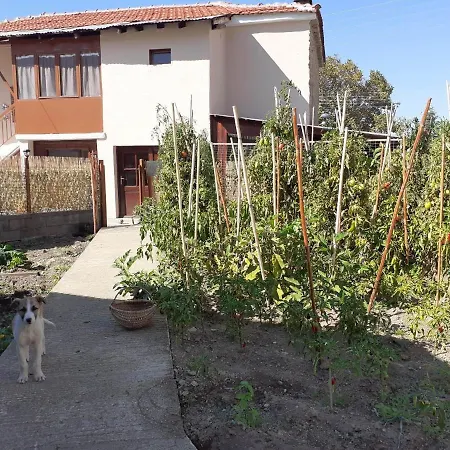 Apartamento Grandpa's House & Coffee-shop